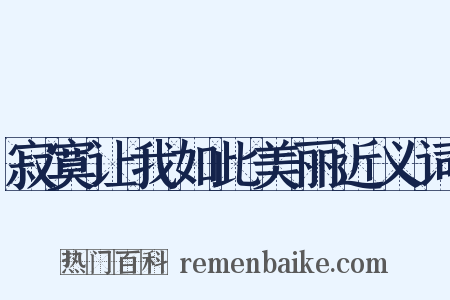 寂寞让我如此美丽近义词是什么意思的图片